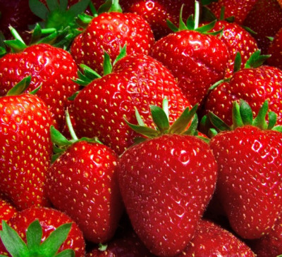 Strawberries revealed as Britain's favourite fruit, but two-thirds are storing them incorrectly
