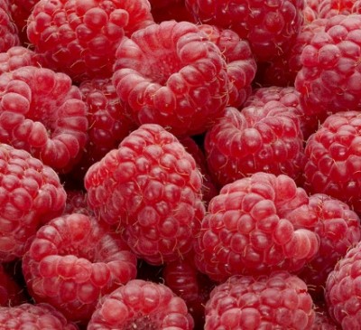 Could eating raspberries help people with diabetes?