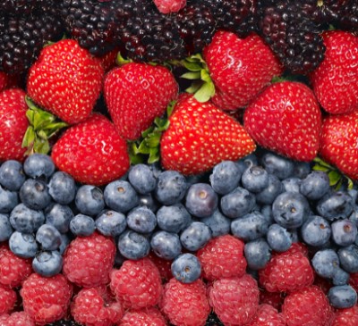 Berry Anthocyanins and Gut Health