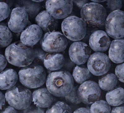 Blueberries show brain-boosting promise for children