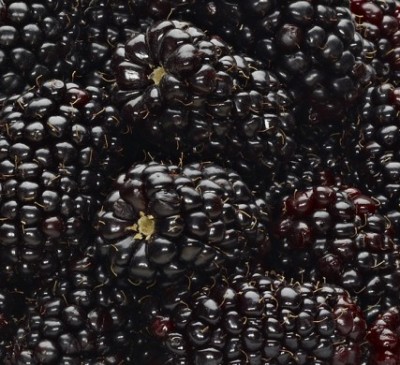 close-up-strawberry Blackberries